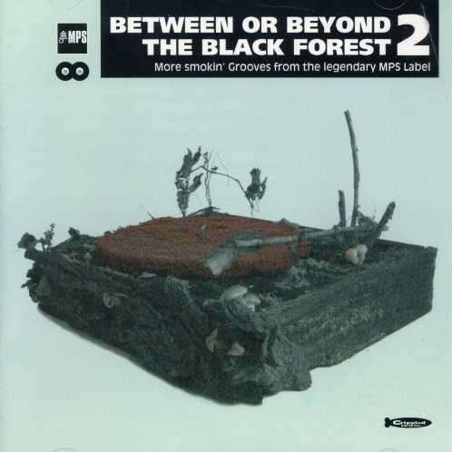 Between or Beyond the Black Forest 2 / Various - Between or Beyond the Black Forest 2 / Various - Musik - FAB DISTRIBUTION - 0881390126422 - 27. september 2005