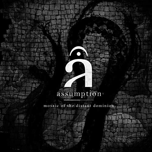 Cover for Assumption · Mosaic of the Distant Dominion (CD) [Japan Import edition] (2019)
