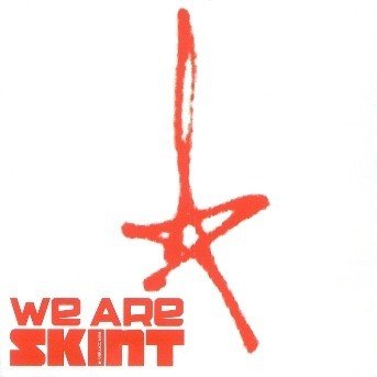 We Are Skint - V/A - Musique - SKINT - 5099751011422 - 