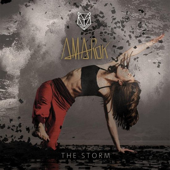 Cover for Amarok · Storm (CD) [Digipak] (2022)