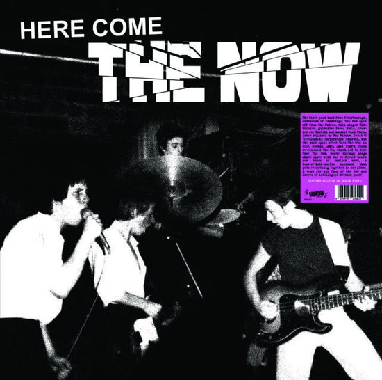 Now · Here Come the Now (LP) (2024)