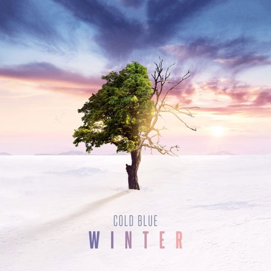 Winter - Cold Blue - Musik - BLACK HOLE - 8715197019422 - 15 november 2019