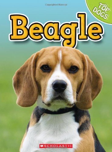 Cover for Linda George · Beagle (Top Dogs (Children's Press)) (Hardcover Book) (2010)