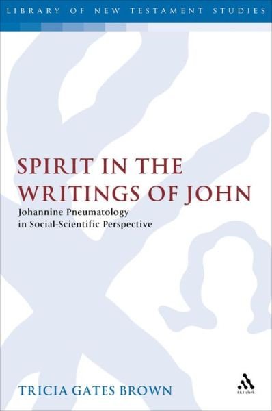 Spirit in the Writings of John - Journal for the Study of the New Testament Supplement S. - Gates Brown - Boeken - Bloomsbury Publishing PLC - 9780567084422 - 1 juli 2004