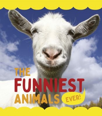 The Funniest Animals Ever - Camilla De La Bedoyere - Books - Qeb Publishing -- Quarto Library - 9780711272422 - 2022