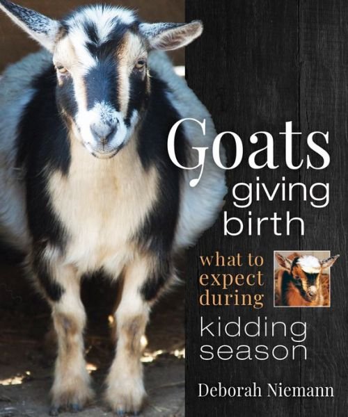 Cover for Deborah Niemann · Goats Giving Birth: What to Expect during Kidding Season (Pocketbok) (2020)