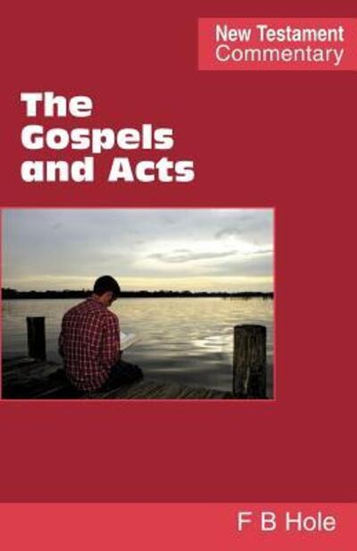 Cover for Frank Binford Hole · The Gospels and Acts (Paperback Book) (2007)