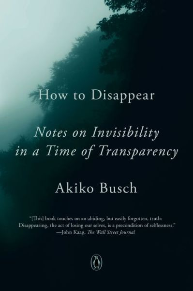 Cover for Akiko Busch · How to Disappear: Notes on Invisibility in a Time of Transparency (Paperback Book) (2020)