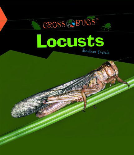 Cover for Jonathan Kravetz · Locusts (Gross Bugs) (Hardcover Book) (2005)