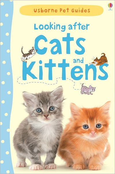 Cover for Katherine Starke · Looking after Cats and Kittens - Pet Guides (Hardcover Book) (2013)