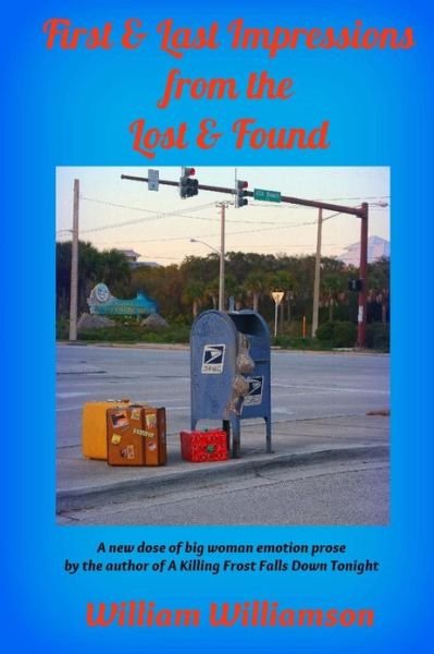 Cover for William Williamson · First &amp; Last Impressions from the Lost &amp; Found (Taschenbuch) (2013)