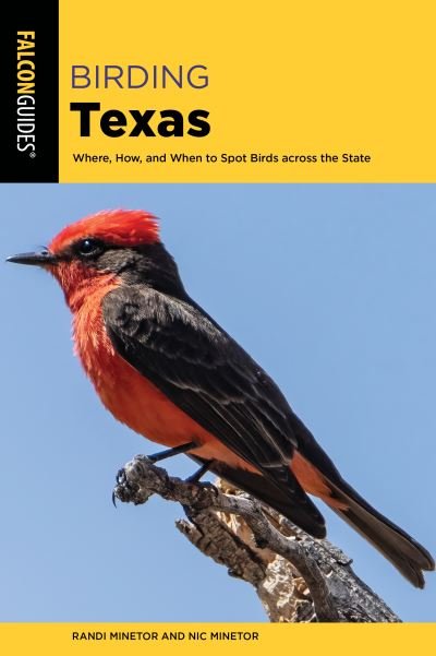 Cover for Randi Minetor · Birding Texas: Where, How, and When to Spot Birds across the State - Birding Series (Paperback Book) (2024)