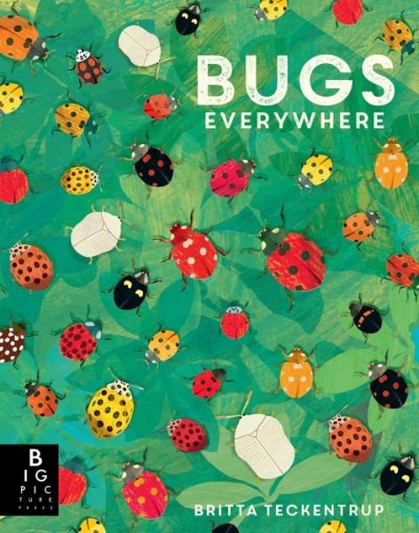 Cover for Lily Murray · Bugs Everywhere (Innbunden bok) (2020)
