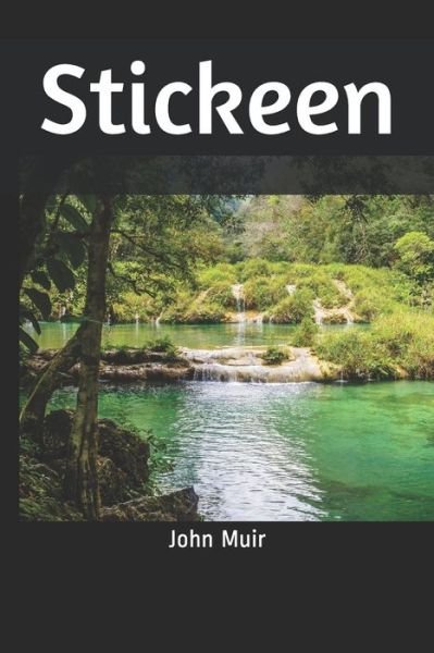 Cover for John Muir · Stickeen (Paperback Bog) (2019)