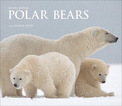 Cover for Michel Rawicki · Polar Bears: A Life Under Threat (Hardcover Book) (2019)