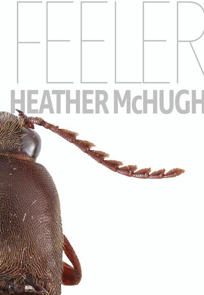 Cover for Heather McHugh · Feeler - Quarternote Chapbook Series (Taschenbuch) (2020)