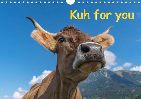 Cover for Kaina · Kuh for you (Wandkalender 2020 DI (Book)