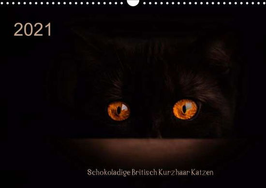 Cover for Bürger · Schokoladige Britisch Kurzhaar K (Book)