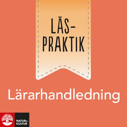 Läspraktik Lärarhandledning Webb - Mats Larsson - Other - Natur & Kultur Läromedel - 9789127454422 - January 8, 2021