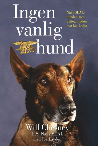 Cover for Joe Layden Will Chesnay · Ingen vanlig hund (Paperback Book) (2025)