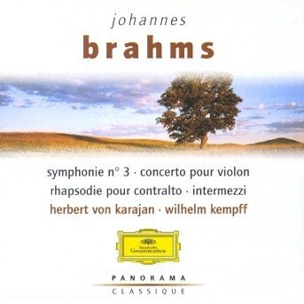 Cover for Brahms · Brahms-panorama (CD)