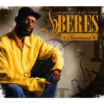 A Moment In Time - Beres Hammond - Music - VP - 0054645182423 - June 30, 1990