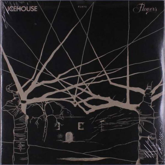 Cover for Icehouse · Plays Flowers: Live (LP) (2020)