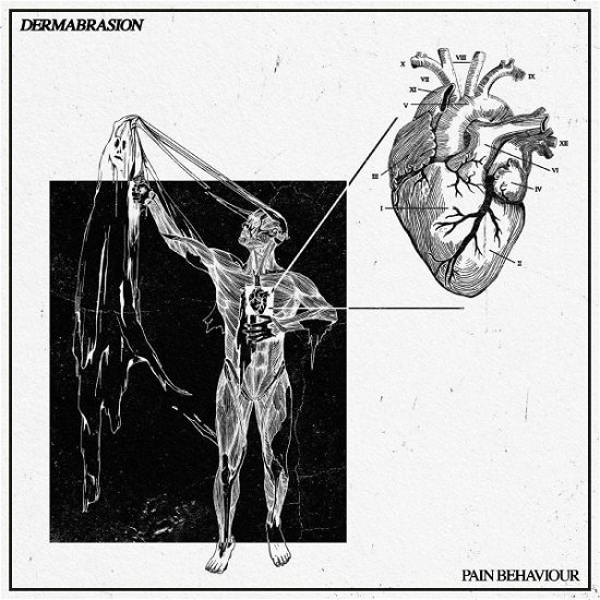 Pain Behaviour - Dermabrasion - Música - HAND DRAWN DRACULA - 0623339827423 - 19 de abril de 2024