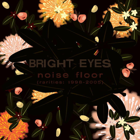 Noise Floor Rarities: 1998-2005 - Bright Eyes - Musiikki - DEAD OCEANS - 0656605159423 - perjantai 16. kesäkuuta 2023