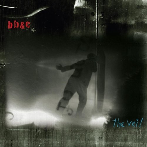 Cover for Cline, Nels / Tim Berne / Jim Black · Veil (CD) (2011)