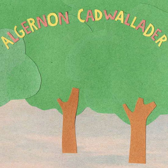 Cover for Algernon Cadwallader · Some Kind of Cadwallader (LP) (2019)