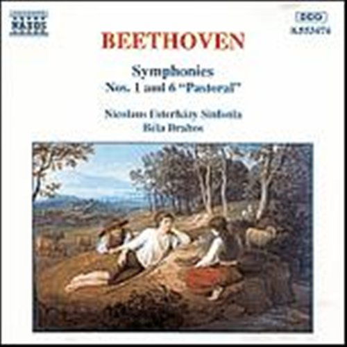 Beethovensymphony No 1 6 - Nicolaus Esterhazy Sinfdrahos - Musiikki - NAXOS - 0730099447423 - keskiviikko 24. huhtikuuta 1996