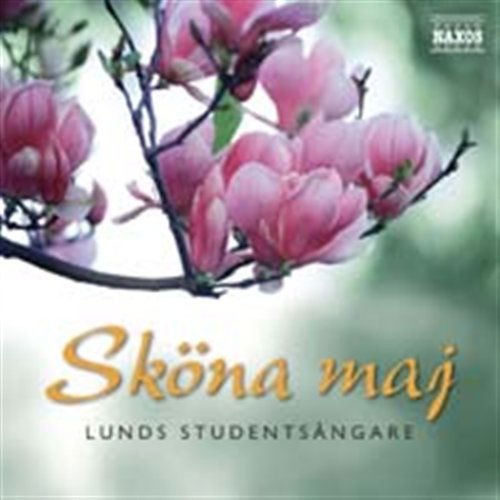 Cover for Lunds StudentsÅngare · Sköna Maj (CD) (2006)