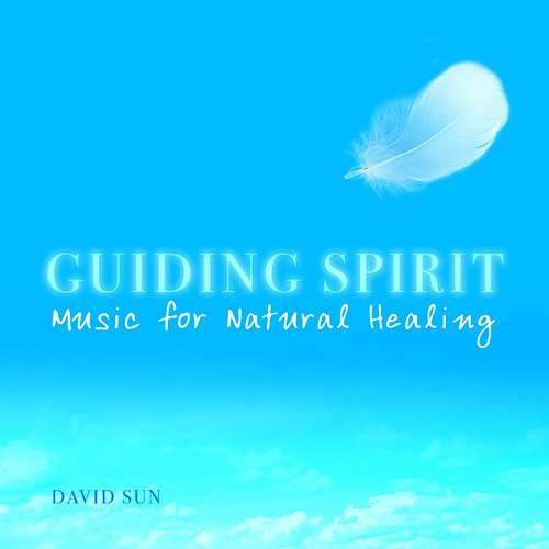 Cover for David Sun · Guiding Spirit (CD) (2006)