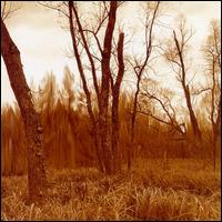 Cover for Northwoods Improvisers · Branches (CD) (2008)