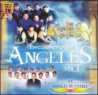 Cover for Los Angeles Azules / Los Angeles De Charly · Encuentro (CD)