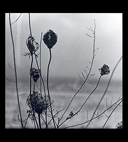 Cover for Recondite · Placid (CD) [Limited edition] [Digipak] (2016)