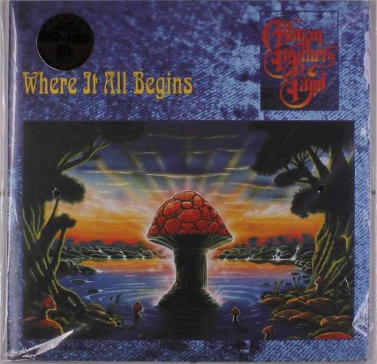 Where It All Begins - Allman Brothers - Music - POP - 0829421999423 - August 2, 2019