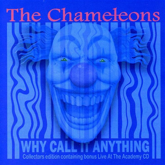 Cover for Chameleons · Why Call It Anything (CD) [Bonus CD, Bonus Tracks edition] (2013)