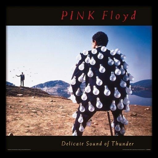 Cover for Pink Floyd · Pink Floyd: Delicate Sound Of Thunder -12&quot; Album Cover Framed Print- (Cornice Lp) (MERCH) (2015)
