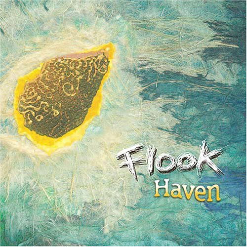 Cover for Flook · Haven (CD) [Digipak] (2013)