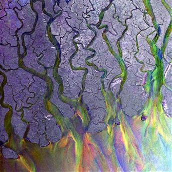 Cover for Alt-j · An Awesome Wave (CD) [Limited, Special edition] (2013)