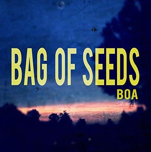 Cover for Boa  · Bag Of Seeds (CD)