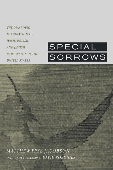 Cover for Matthew Frye Jacobson · Special Sorrows: The Diasporic Imagination of Irish, Polish, and Jewish Immigrants in the United States (Paperback Book) [First Edition, with a New Fore edition] (2002)