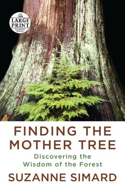 Cover for Suzanne Simard · Finding the Mother Tree: Discovering the Wisdom of the Forest (Paperback Book) (2021)