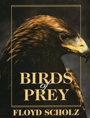 Birds of Prey - Floyd Scholz - Books - Stackpole Books - 9780811702423 - September 1, 1993