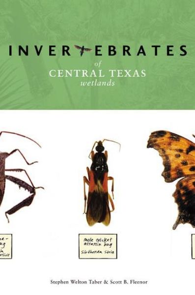 Cover for Stephen Welton Taber · Invertebrates of Central Texas Wetlands (Hardcover Book) (2005)