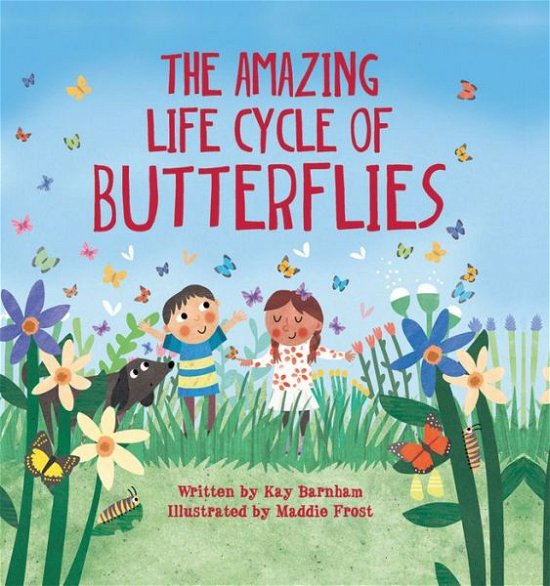 Cover for Kay Barnham · The Amazing Life Cycle of Butterflies (Hardcover Book) (2018)