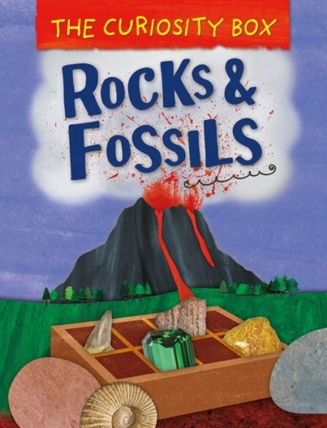 Cover for Peter Riley · The Curiosity Box: Rocks and Fossils - The Curiosity Box (Paperback Book) [Illustrated edition] (2019)