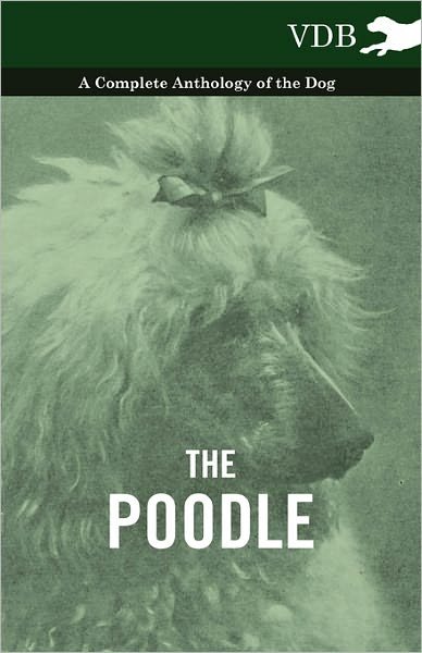 Cover for The Poodle - a Complete Anthology of the Dog (Pocketbok) (2010)